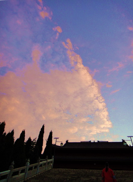 dsc06691.jpg