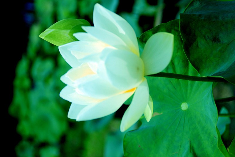 ��Ƭ 033_����.jpg