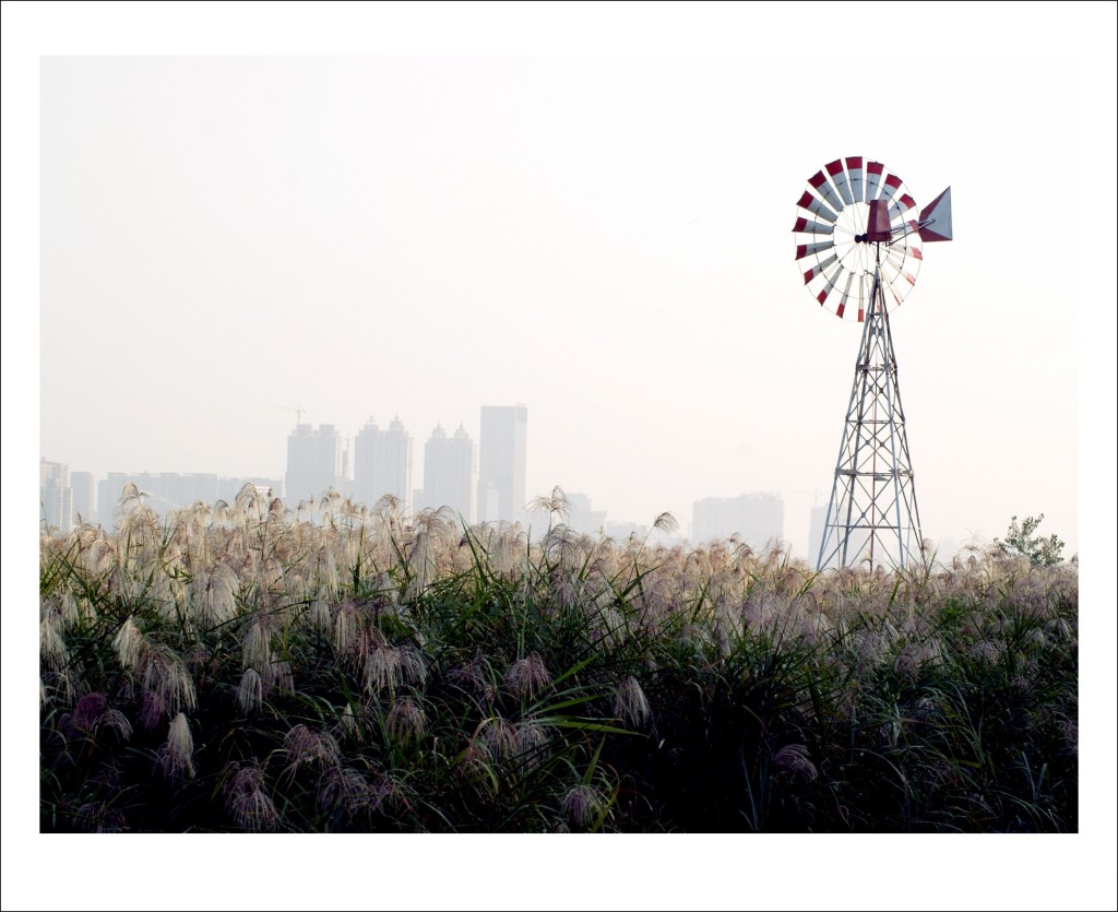 conew_1014ڷ« 014_conew1.jpg