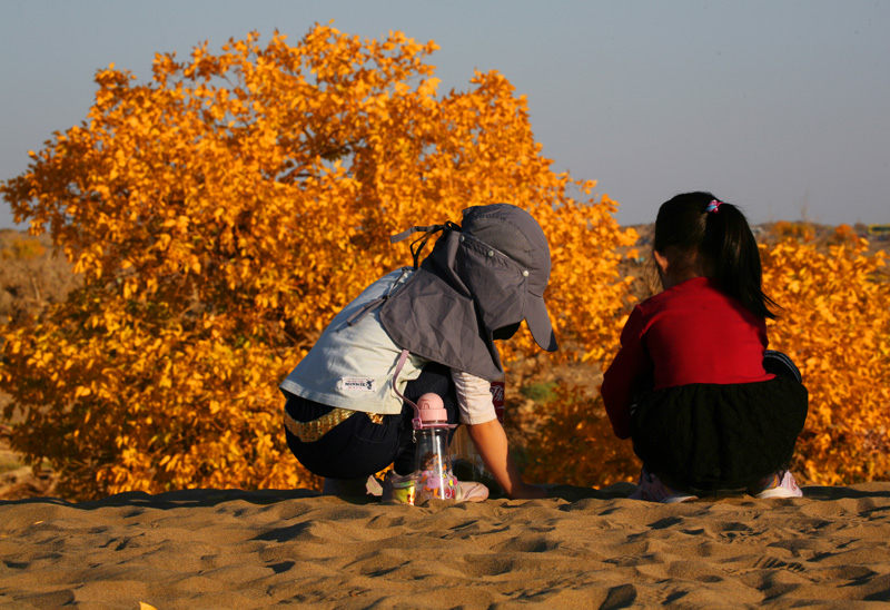 ɳĮ������1.jpg
