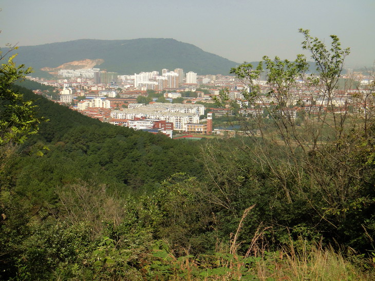 dsc07147.jpg