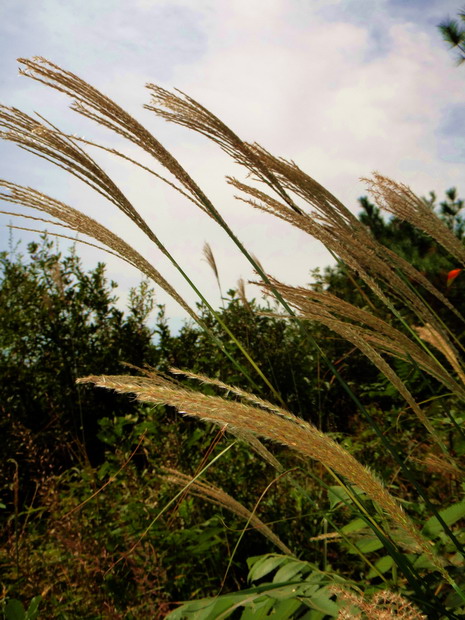 dsc07149.jpg
