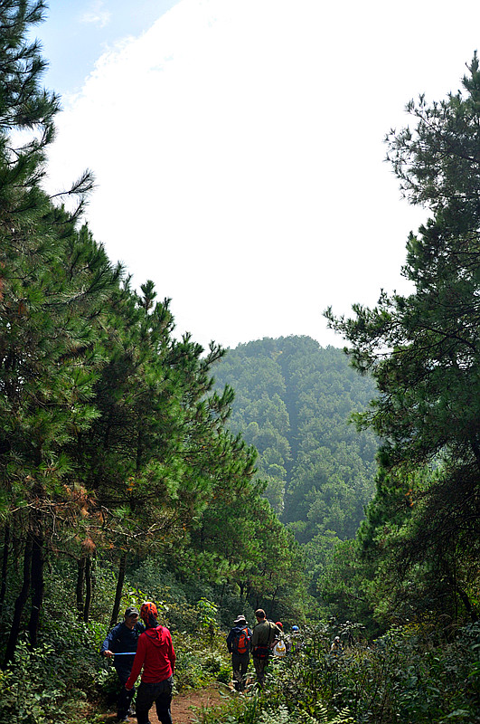 dsc_0582_.jpg