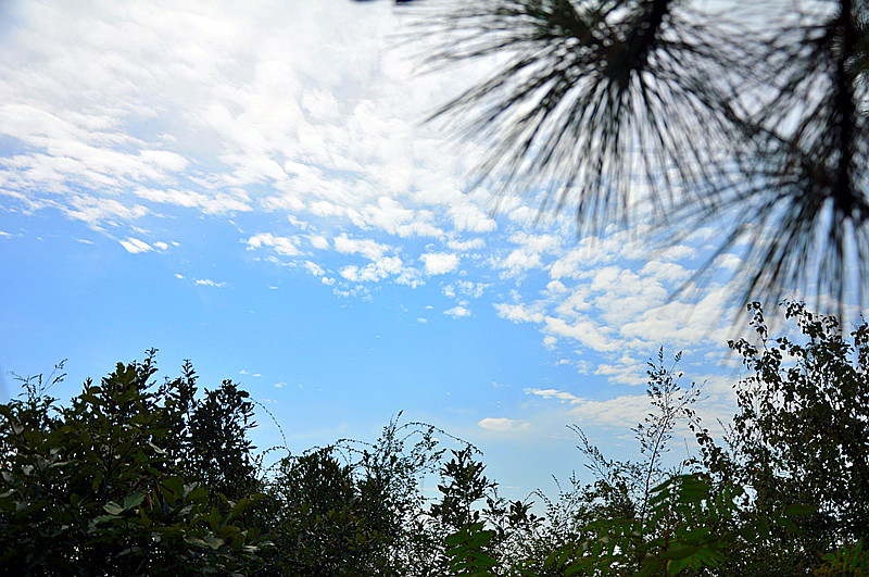 dsc_0647_.jpg