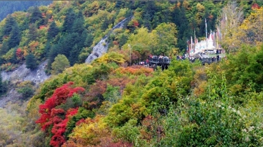 կ19.jpg