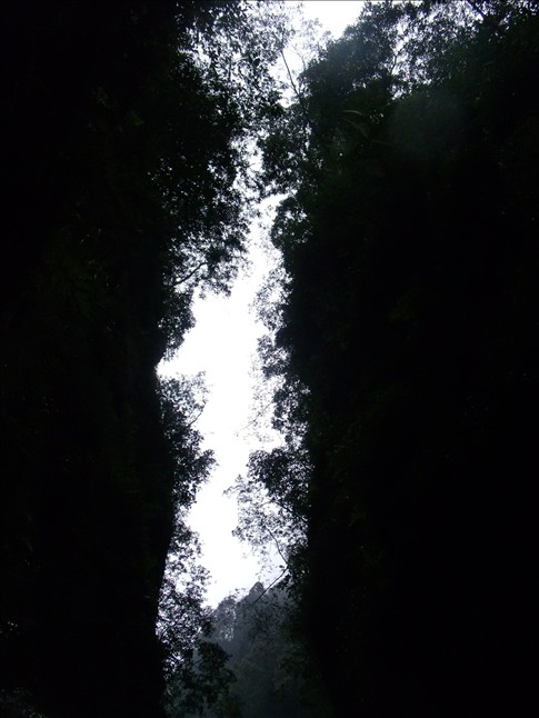 Ĵ֮192.jpg