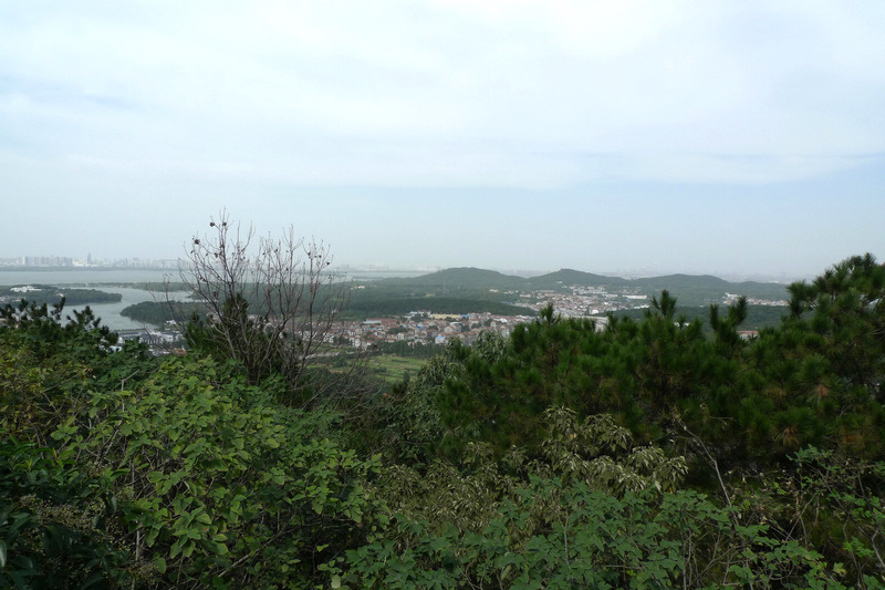 p1040165.jpg