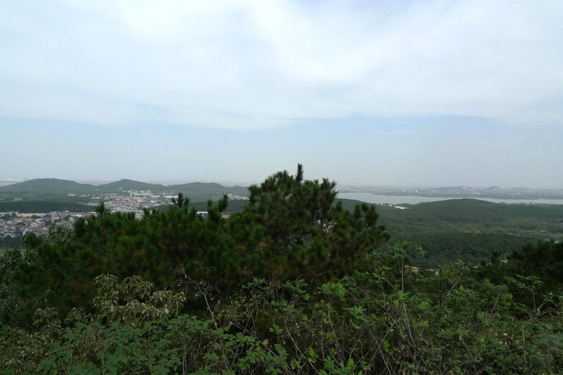 p1040166.jpg
