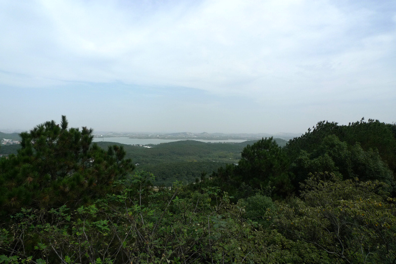 p1040167.jpg