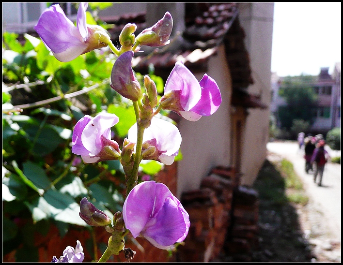 pp1180530.jpg