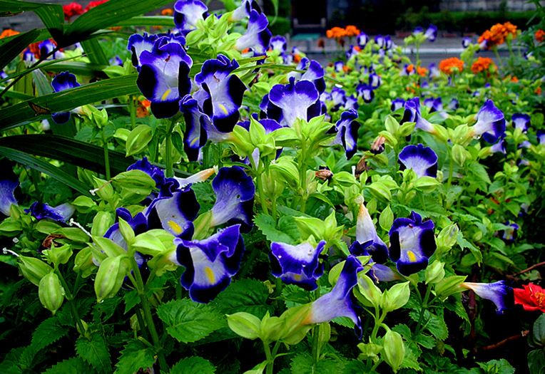 dscn0735_.jpg