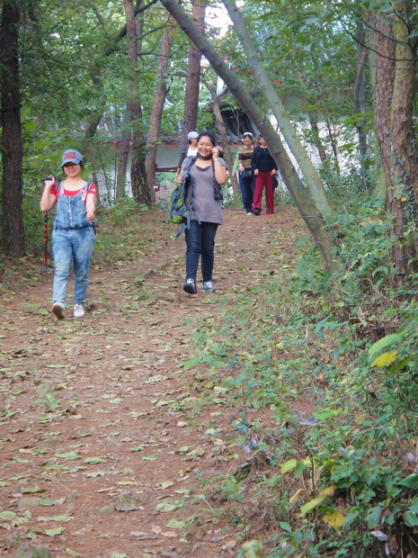 dsc07222.jpg