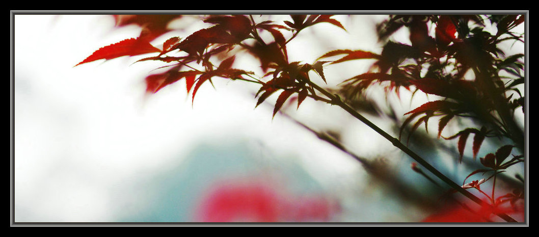 dsc03048_����1.jpg