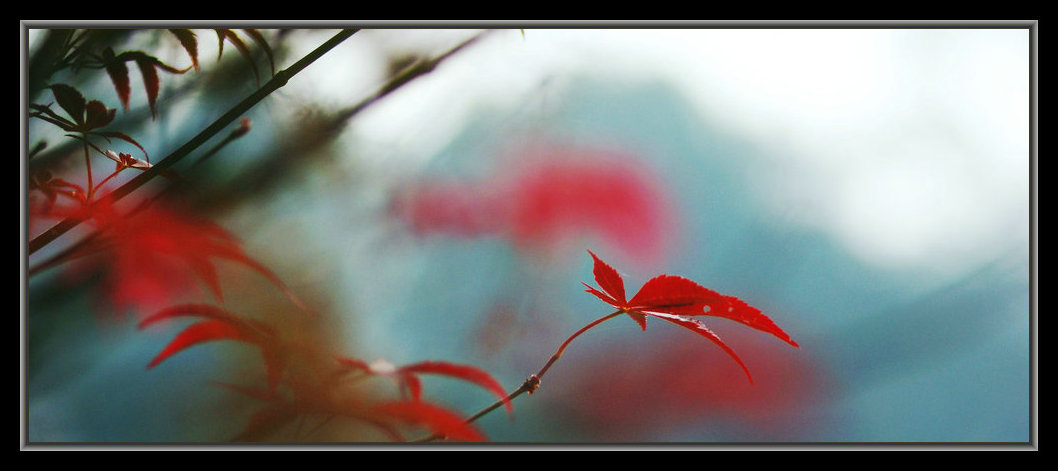 dsc03048_����.jpg