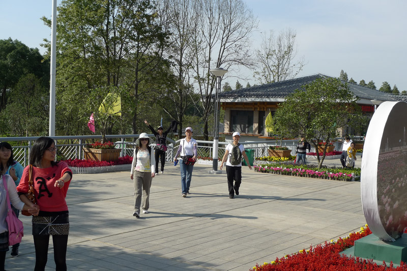 p1040187.jpg