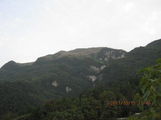 img_4792.jpg