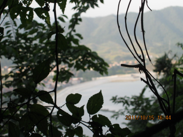 img_4791.jpg