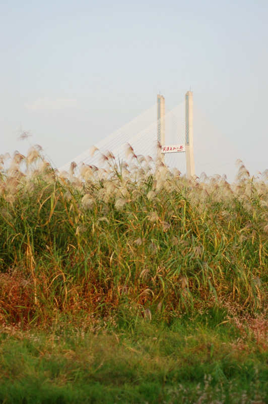 20111014ڷ罭̲1«έ (21).jpg