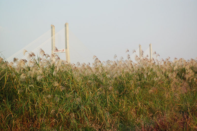 20111014ڷ罭̲1«έ.jpg