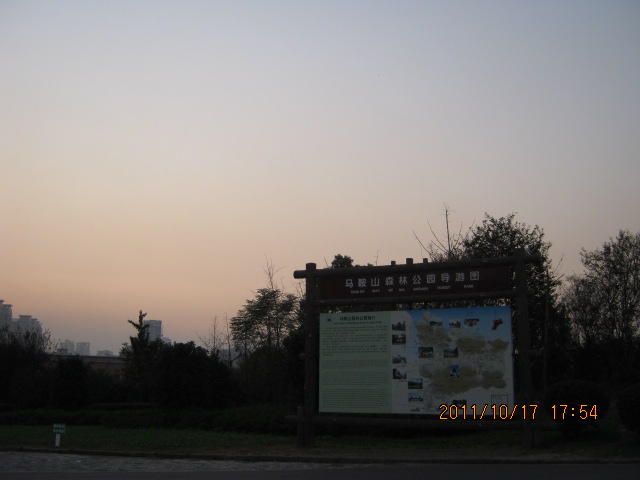 img_4803.jpg