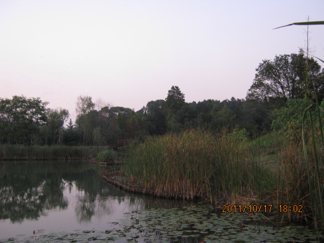 img_4804.jpg