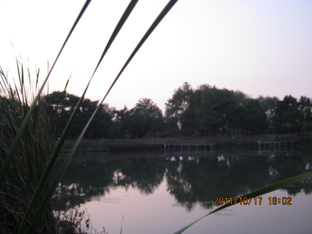 img_4805.jpg