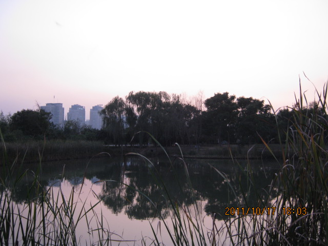 img_4806.jpg