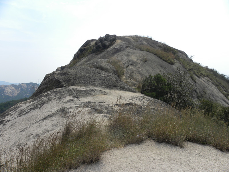 dscn4254_.jpg