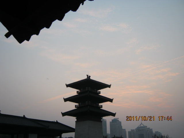 img_4855.jpg