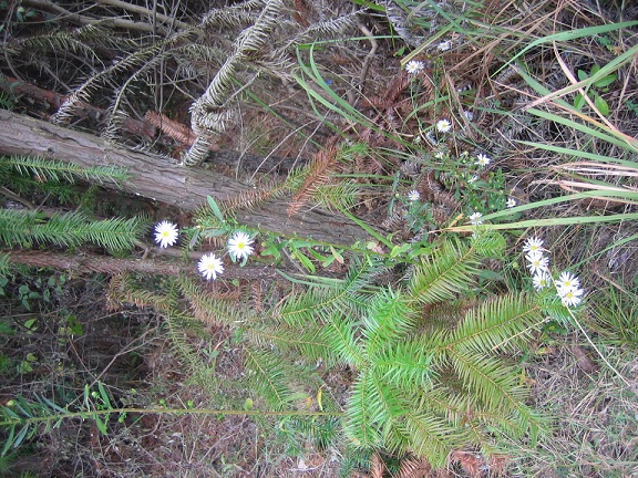 img_0183.jpg