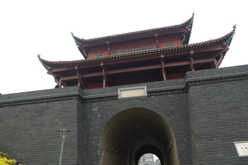 p1040282.jpg