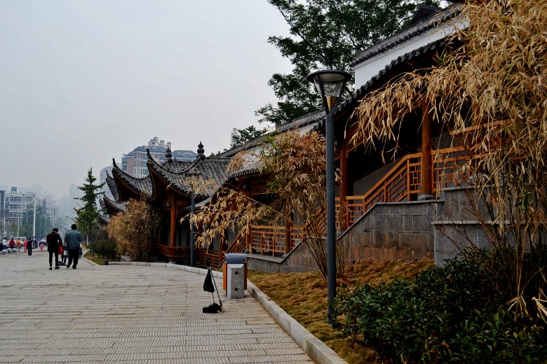  075_conew1.jpg