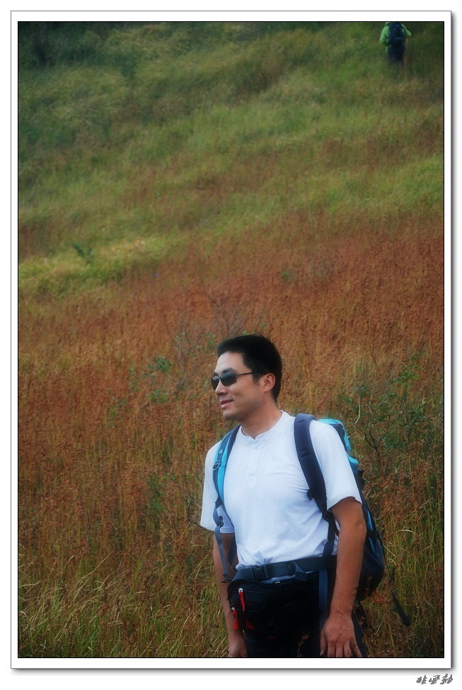 dsc_7392_neo_img.jpg