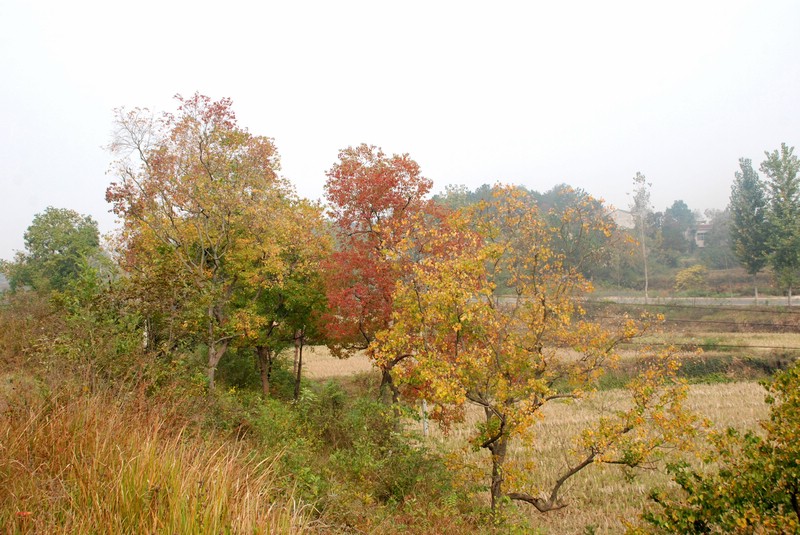 dsc_9221.jpg