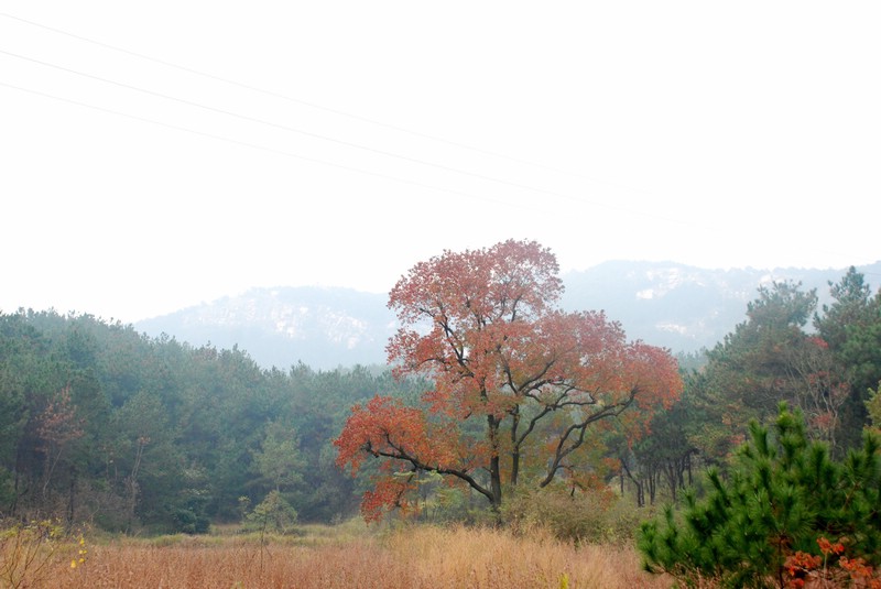 dsc_9240.jpg