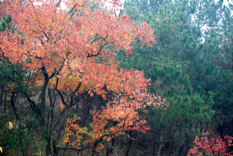 dsc_9254.jpg