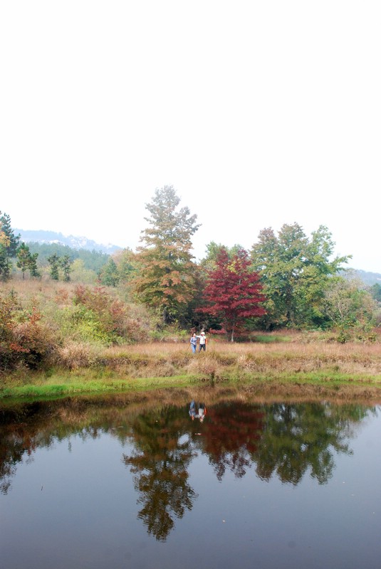 dsc_9306.jpg