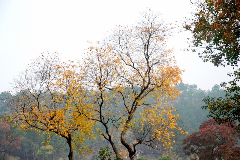dsc_9356.jpg