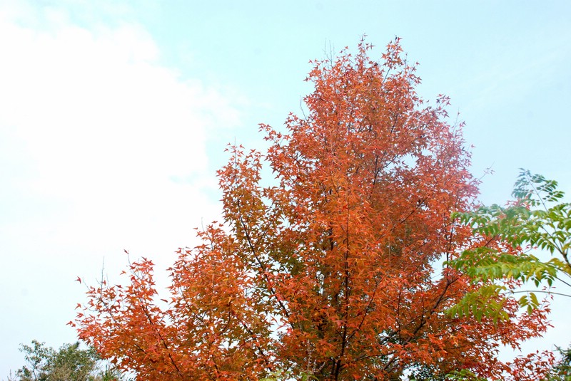dsc_9357.jpg