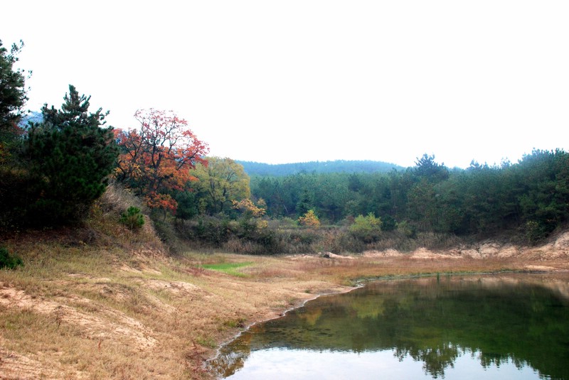 dsc_9380.jpg