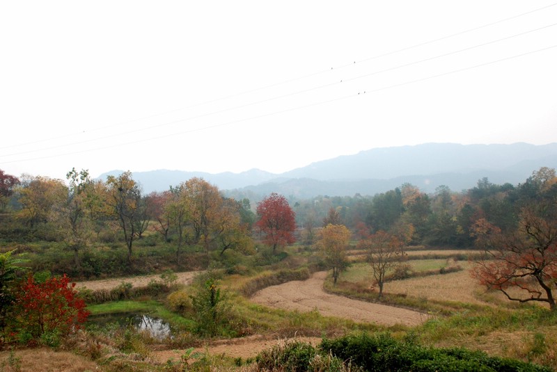 dsc_9416.jpg