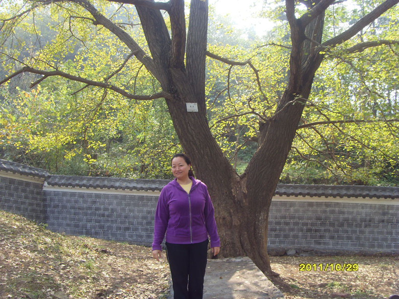 sdc12899_����.jpg