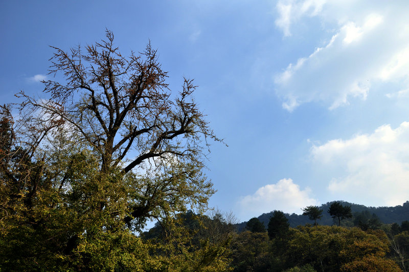 dsc_5698_1.jpg