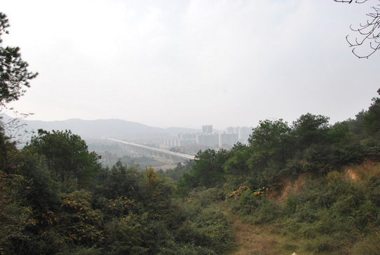 dsc_0006_������С.jpg