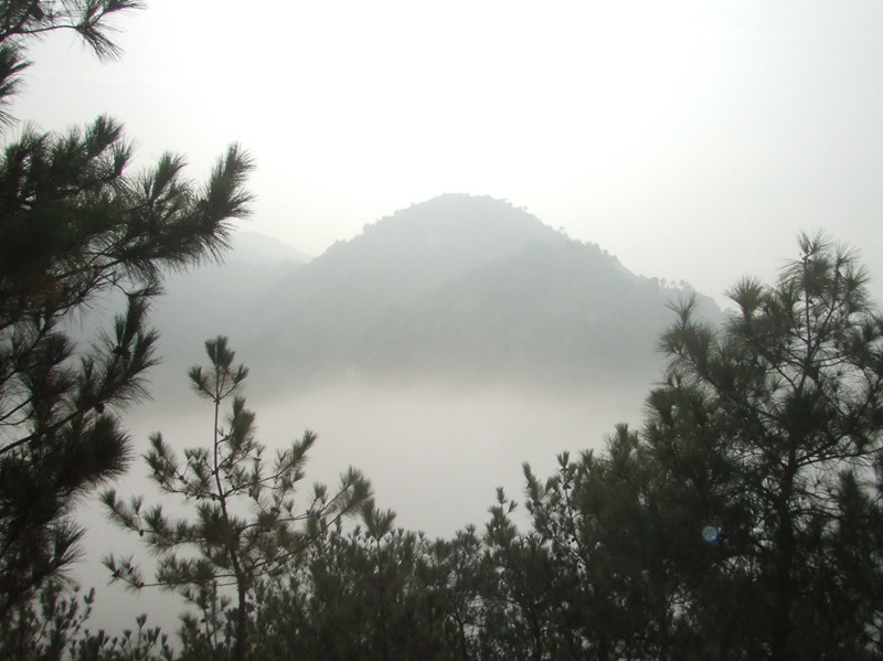 dscf0036_.jpg