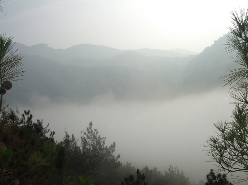 dscf0037_.jpg