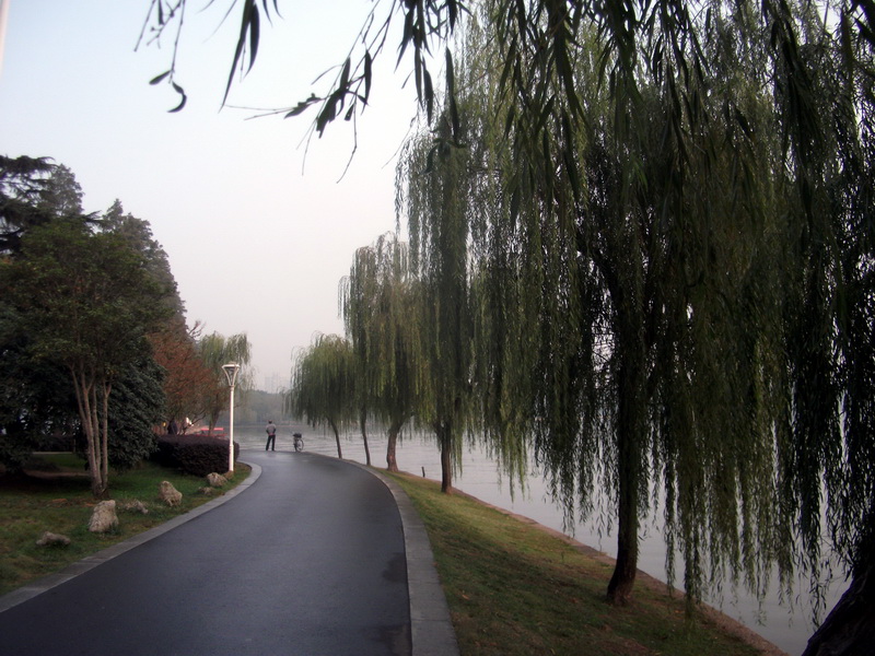 dscf0068.jpg