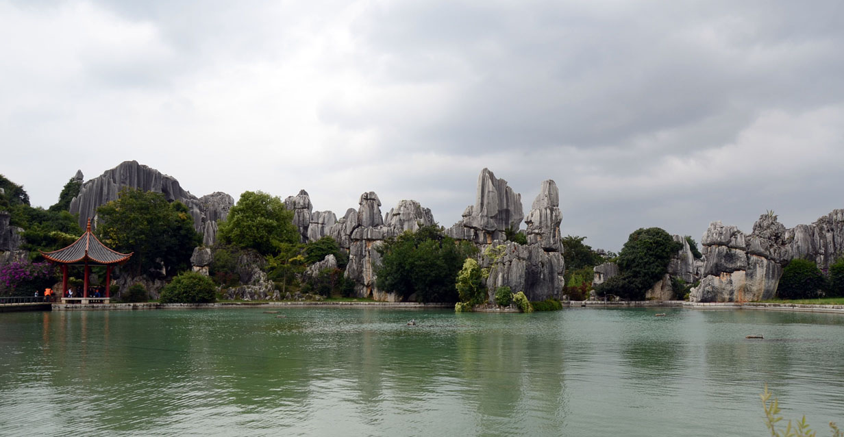 dsc_1884.jpg