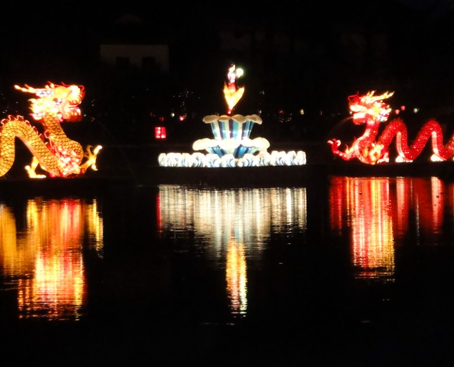 dsc06716.jpg