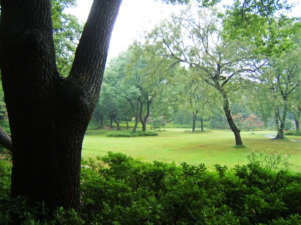 dscf4937.jpg